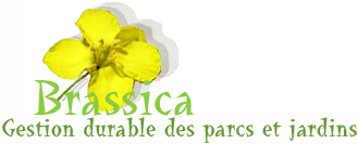Logo Brassica Conseils